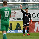 Bohemians - Teplice 4:2 (2:1)