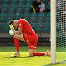 Bohemians - Teplice 4:2 (2:1)