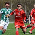 Bohemians Praha 1905 - FK Pardubice 2:0 (1:0)