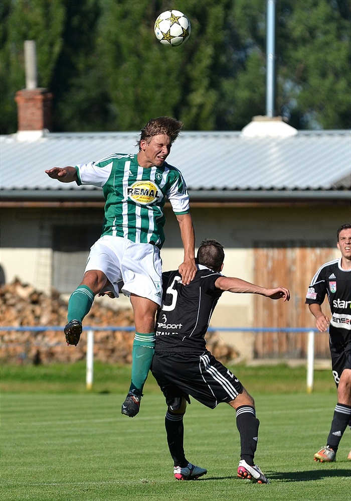 Bohemians Praha 1905 - 1. FK Příbram 1:2 (1:1)