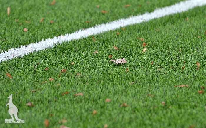 Odpoledne Klokani trénovali na hřišti