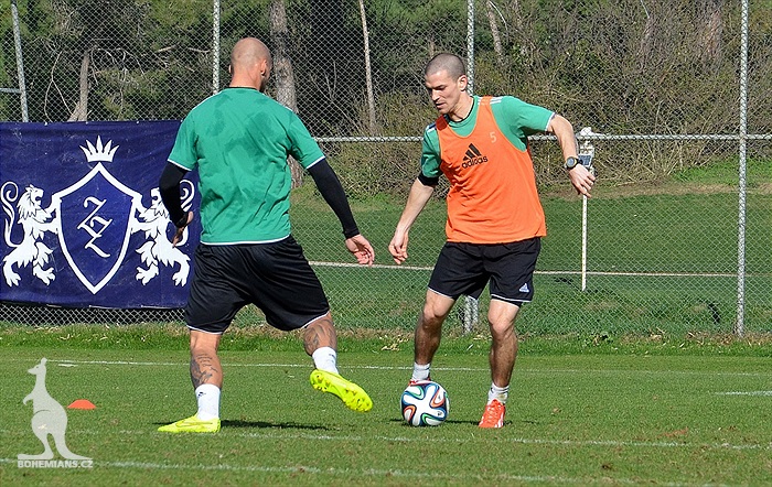 Klokani se připravovali na Rapid Vídeň!