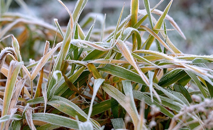 Mrazivý trénink v Uhříněvsi
