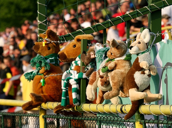 Plyšoví klokani fandili s kotlem.