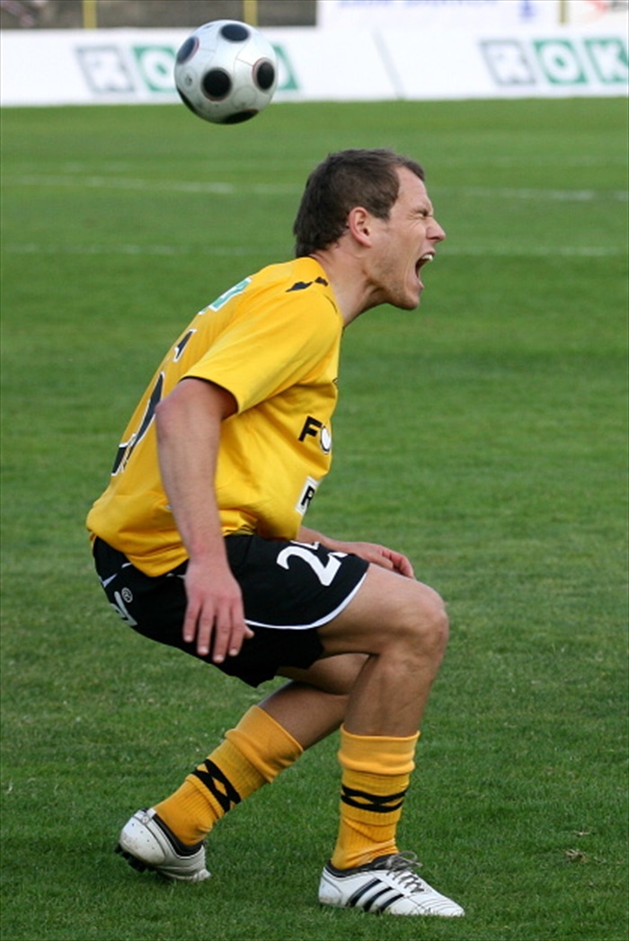 Kotyza v bolestech...