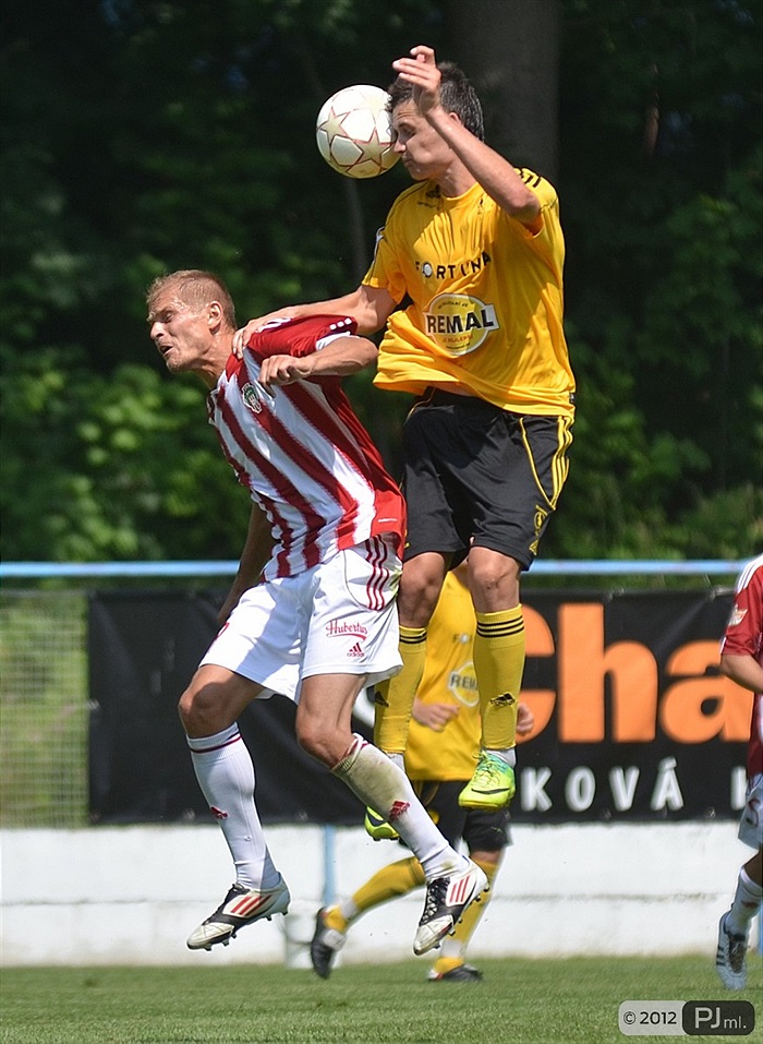 Bohemians 1905 - Viktoria Žižkov 1:2 (1:1)