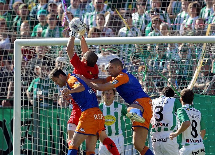 Sňozík králem vzdušného prostoru.