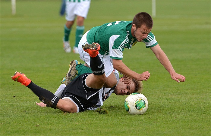 Bohemians Praha 1905 - SK Dynamo Č.Budějovice 2:1 (1:1)