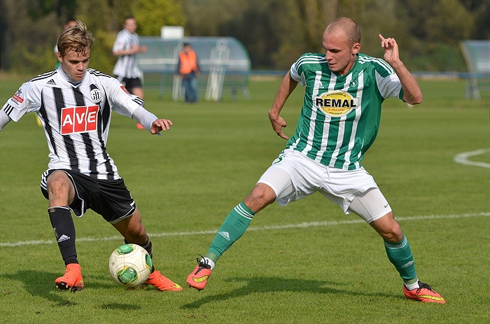 Bohemians Praha 1905 - SK Dynamo Č.Budějovice 2:1 (1:1)