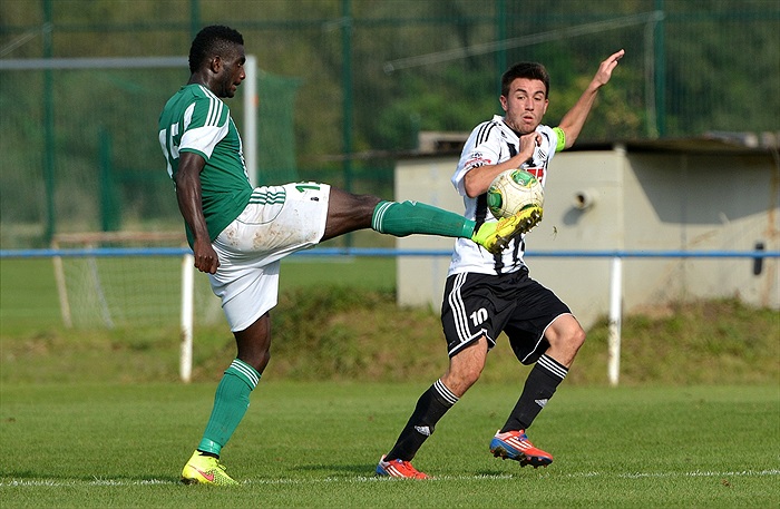 Bohemians Praha 1905 - SK Dynamo Č.Budějovice 2:1 (1:1)