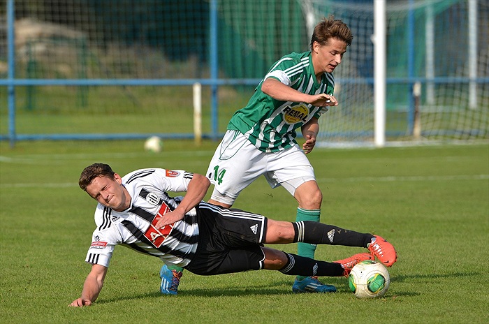 Bohemians Praha 1905 - SK Dynamo Č.Budějovice 2:1 (1:1)