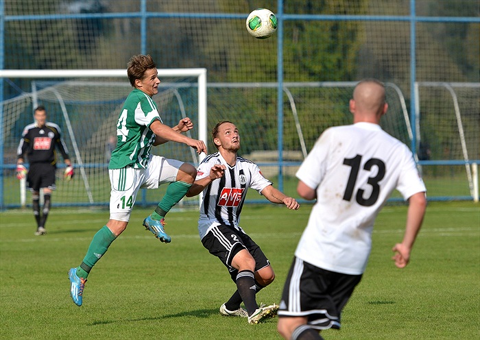 Bohemians Praha 1905 - SK Dynamo Č.Budějovice 2:1 (1:1)