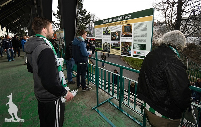 Bohemians Praha 1905 - FC Viktoria Plzeň 5:2 (4:2)