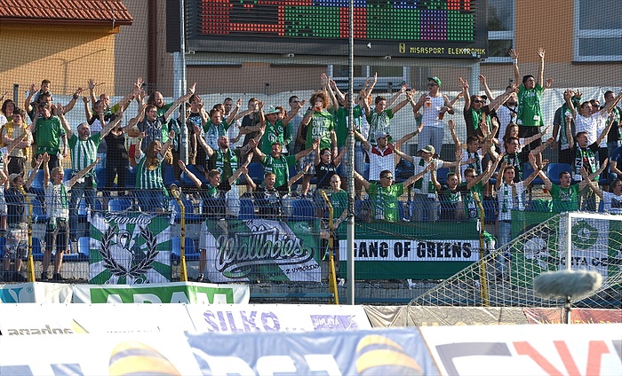 FC Vysočina Jihlava - Bohemians Praha 1905 1:2 (0:1)