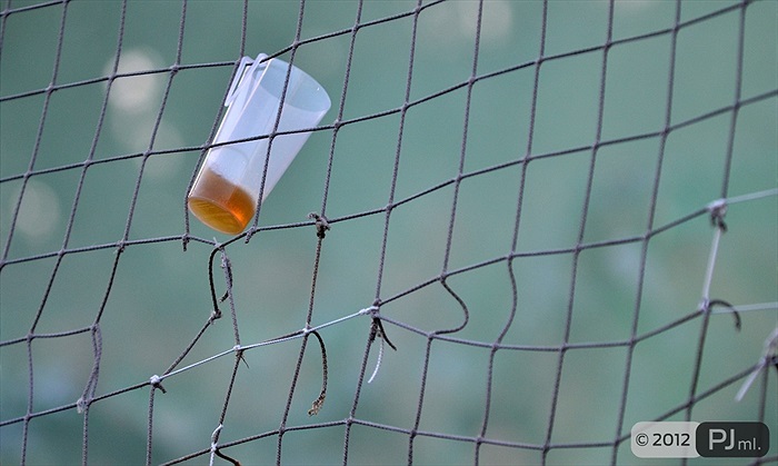 Bohemians 1905 - 1.SC Znojmo 1:0 (0:0)