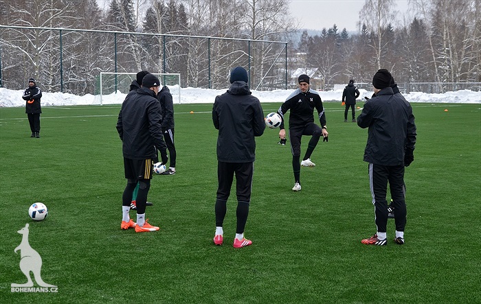 Klokani se připravují v Břízkách