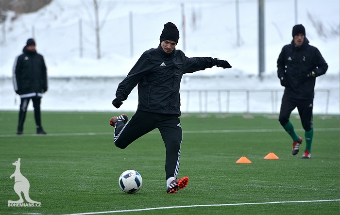 Klokani se připravují v Břízkách