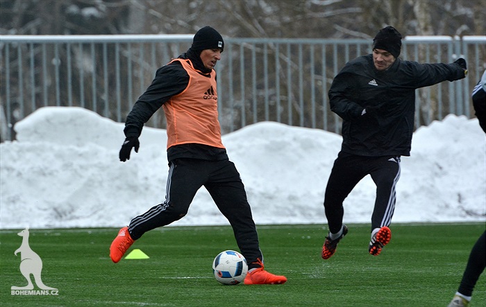 Klokani se připravují v Břízkách