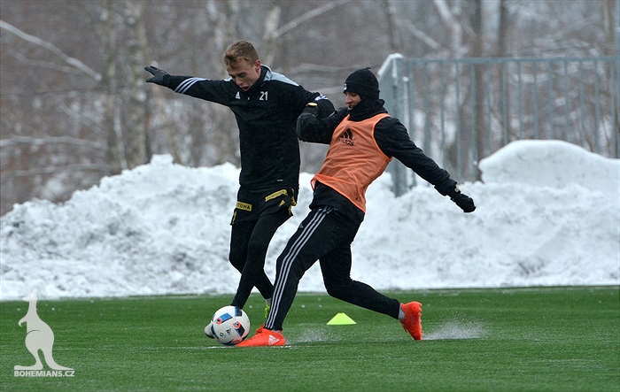 Klokani se připravují v Břízkách