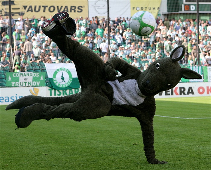 Klokan to je Pan fotbalista.