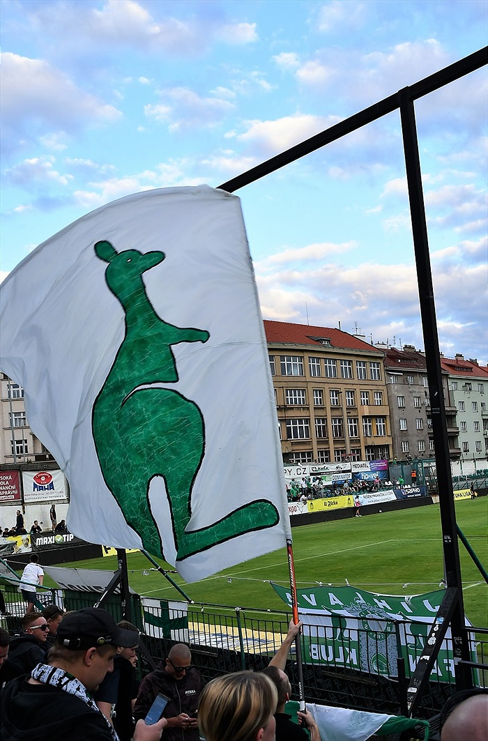 Dění na tribunách: Bohemians - Mladá Boleslav