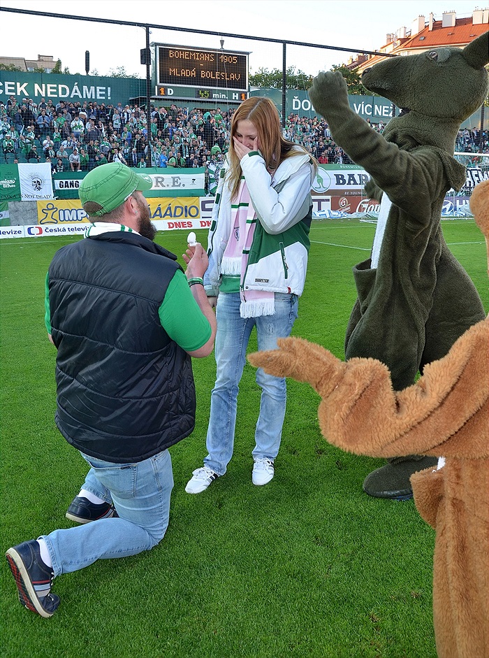 Bohemians Praha 1905 - FK Mladá Boleslav 1:1 (1:1) 