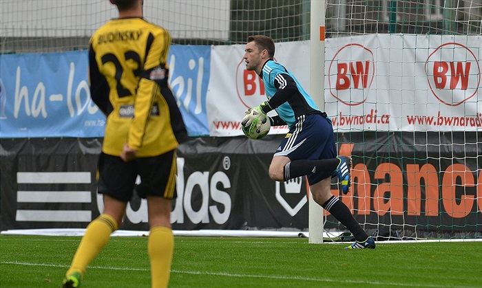 Modelové utkání, podzim 2013