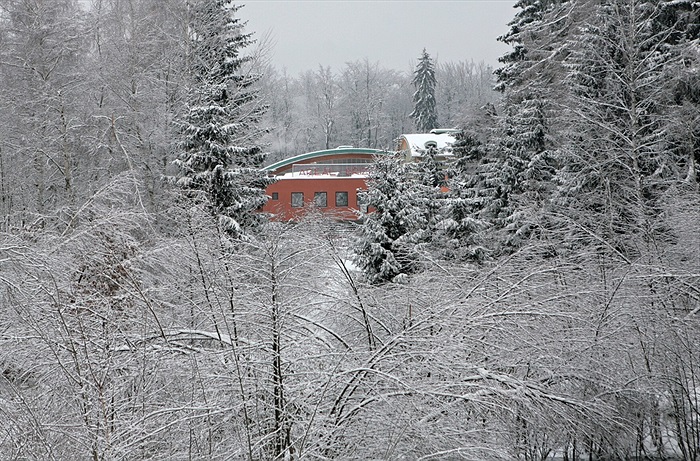 Soustředění v Břízkách - romantické zátiší...