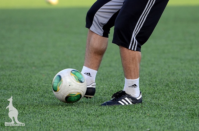 Odpolední trénink Bohemians 