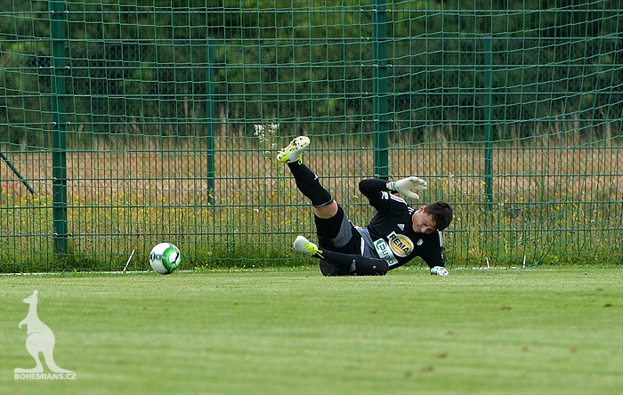 Hallescher - Bohemians 2:2 (0:1)