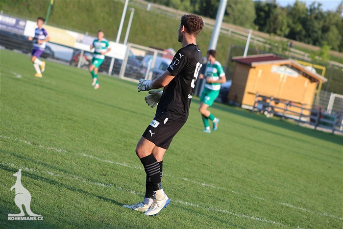 Ujpest - Bohemians 0:1 (0:1)
