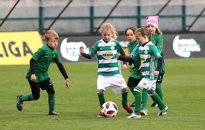 Bohemians Praha 1905 - 1.FK Příbram 1:4 (1:2)
