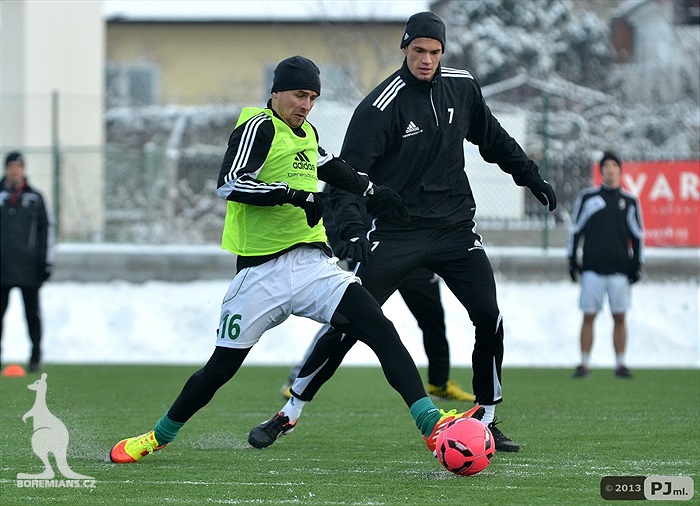 Klokani dnes trénovali na Šeberově