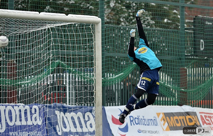 SK Slavia Praha - Bohemians Praha 1905 1:0 (1:0)