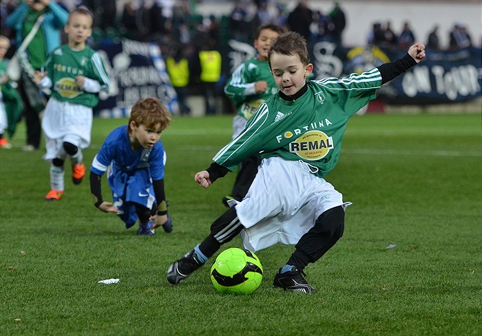 Bohemians Praha 1905 - FC Slovan Liberec 1:0 (1:0)