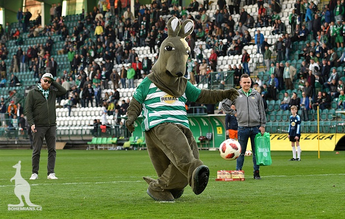 Bohemians Praha 1905 - SFC Opava 0:0