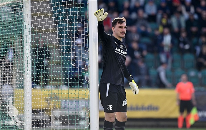 Bohemians - Mladá Boleslav 4:0 (1:0)