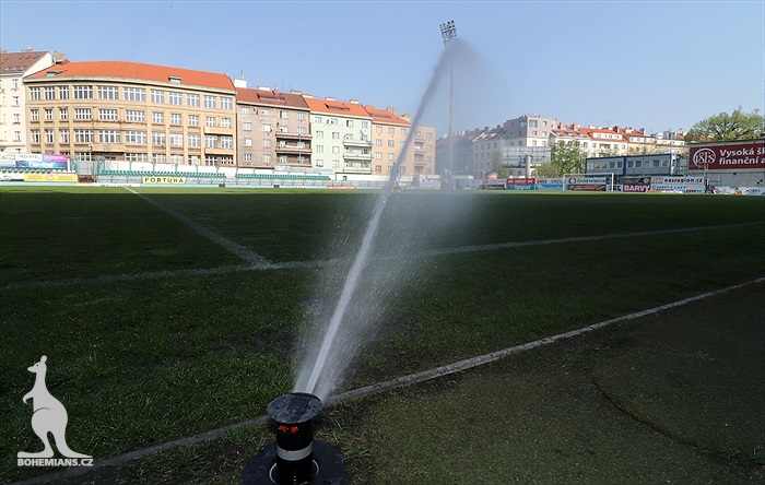 Bohemians Praha 1905 - FC Vysočina JIhlava 1:1 (0:0)
