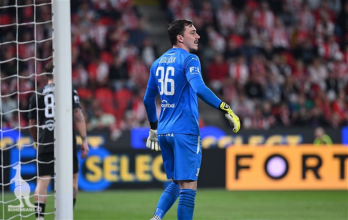 Slavia - Bohemians 3:0 (3:0)