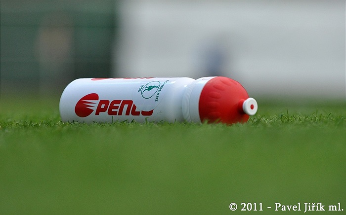 Mladá Boleslav - Bohemians 1905 2:0 (1:0)