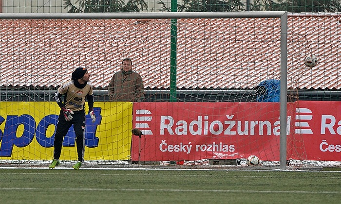 Tipsport liga: Bohemians Praha 1905 - FK Dukla Praha 2:1 (1:0)