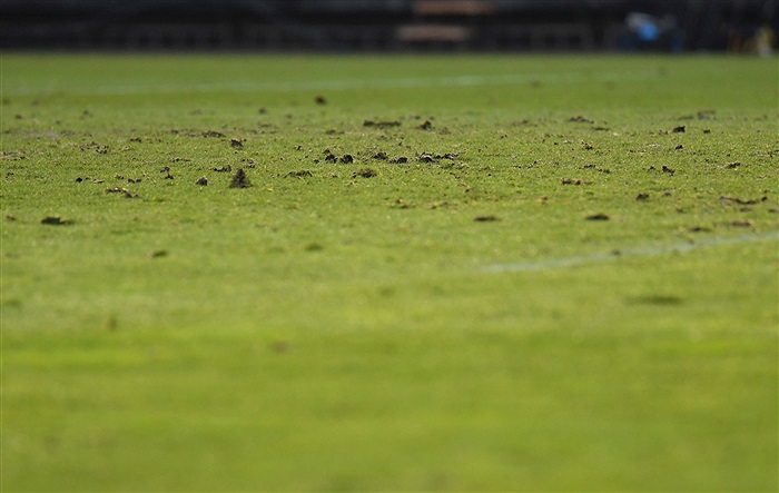 Bohemians - Opava 0:0