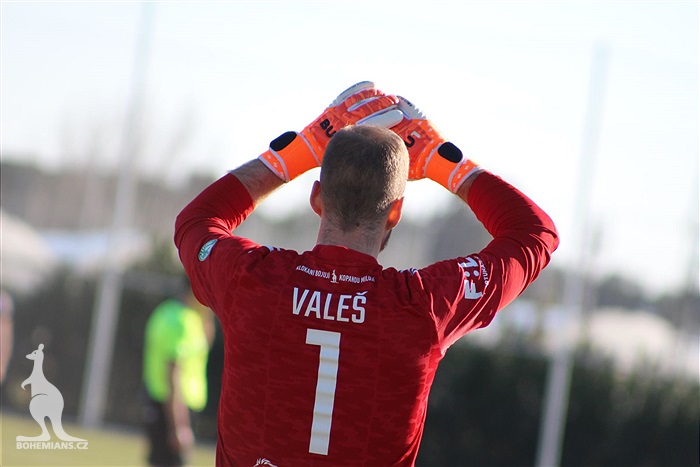 Wolfsberger - Bohemians 1:1 (1:0)