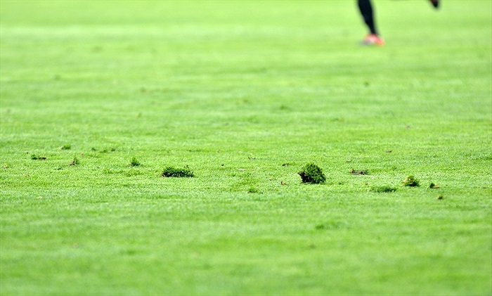 Bohemians Praha 1905 - FC MAS Táborsko 2:2 (0:1) 