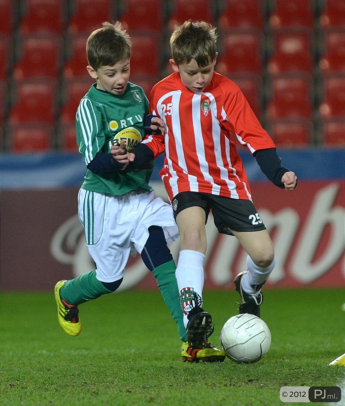 Bohemians 1905 - FK Viktoria Žižkov 1:2 (1:0)