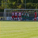 Bohemians Praha 1905 - FK Crvena zvezda Bělehrad 0:1 (0:0)