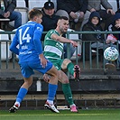 Bohemians - Mladá Boleslav 0:0