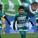 Bohemians - Mladá Boleslav 0:0