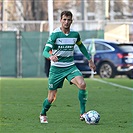 Bohemians - Mladá Boleslav 0:0