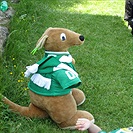 DFK Bohemians 1905 - TJ Holoubkov 4:3 (1:1)